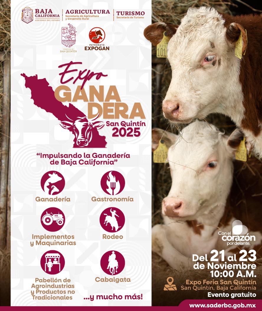 557652742 122098413687050617 8903050522428671232 n