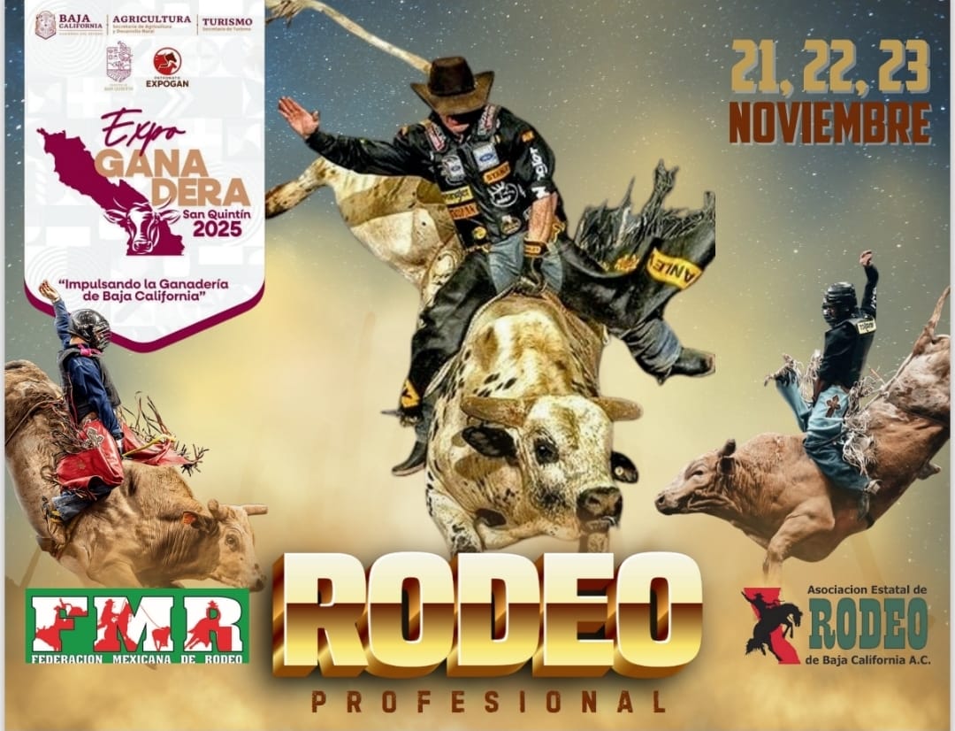 whatsapp image 2025 10 01 at 12.30.08 pm